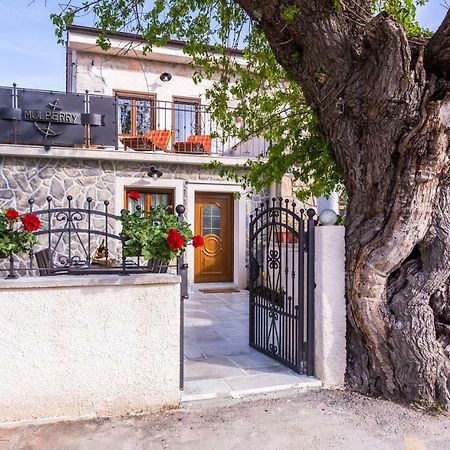 Milohnici Villa Mulberry מראה חיצוני תמונה